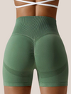 Slimming Shorty Belly and Thighs 