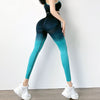 Slimming Sculpting Leggings 