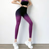 Slimming Sculpting Leggings 